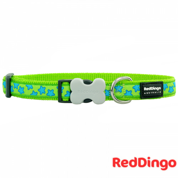 Türkiz csillagos Red Dingo® kutya nyakörv - S - 15 mm x 24-36 cm