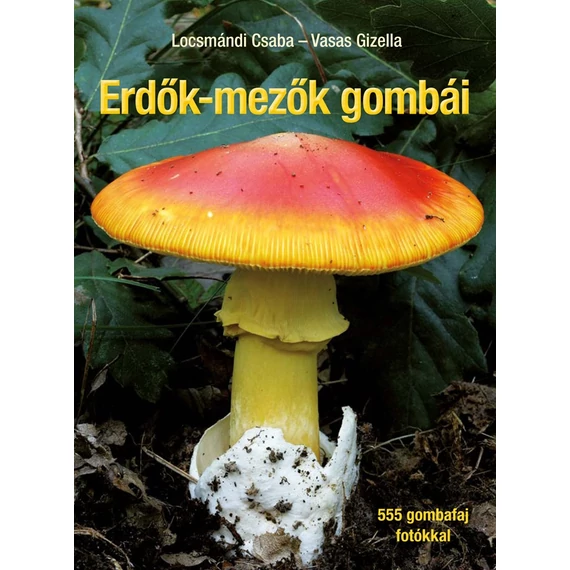 Erdők - mezők gombái